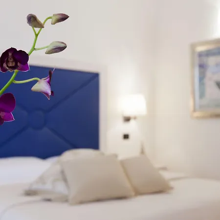 玛森陶法尼酒店 招待所 索伦托